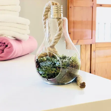 Oupen De Dor El Pilar - Manifestacion